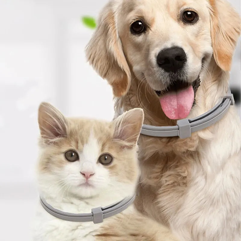 Up to 10Pcs PawfectFriend Long-Lasting Dog Collars – Plant-Based Formula, Adjustable & Waterproof 