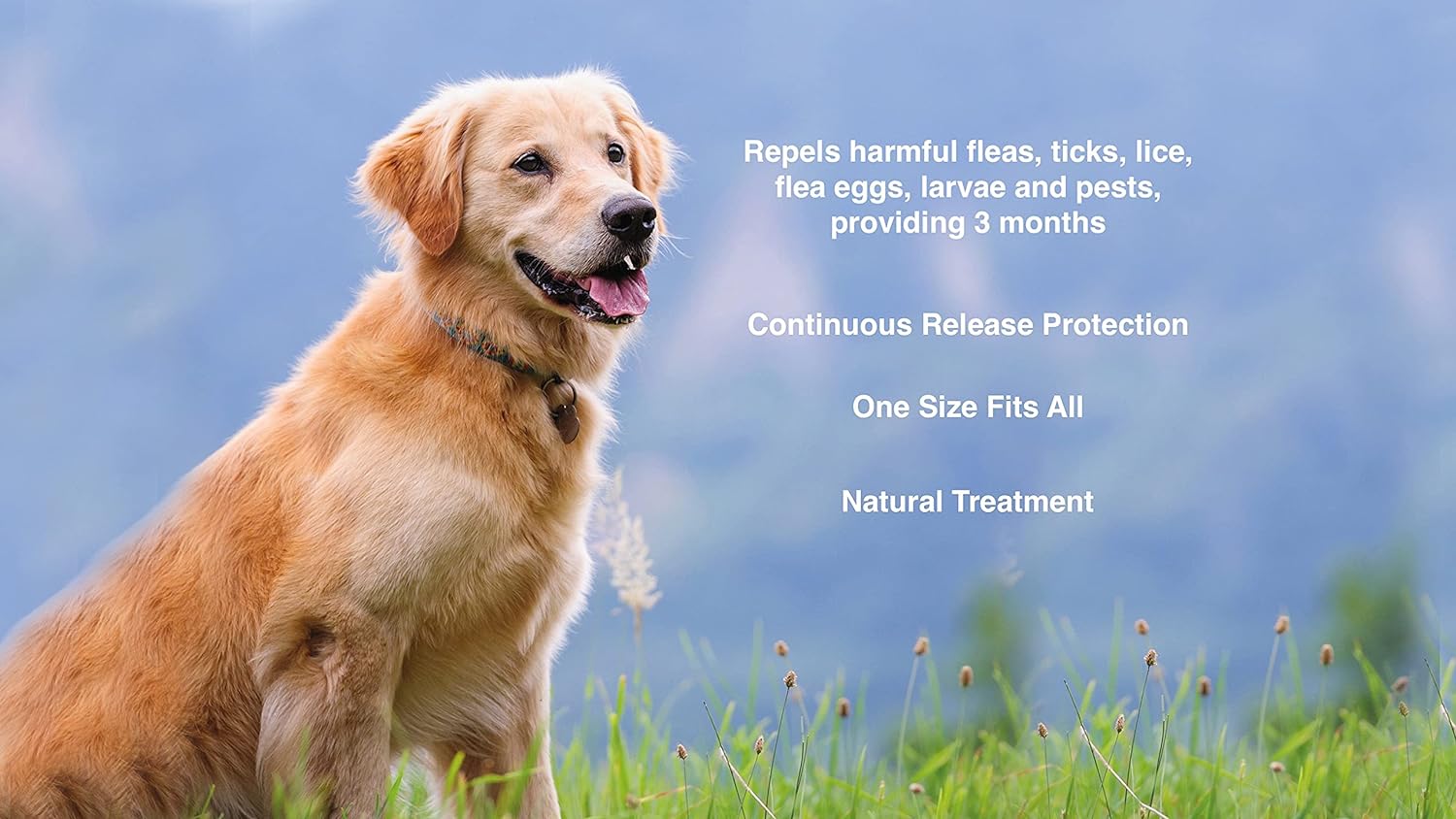 PawfectFriend Flea & Tick Deterrent Collar for Dogs – with Geraniol, Long-Lasting Wear 