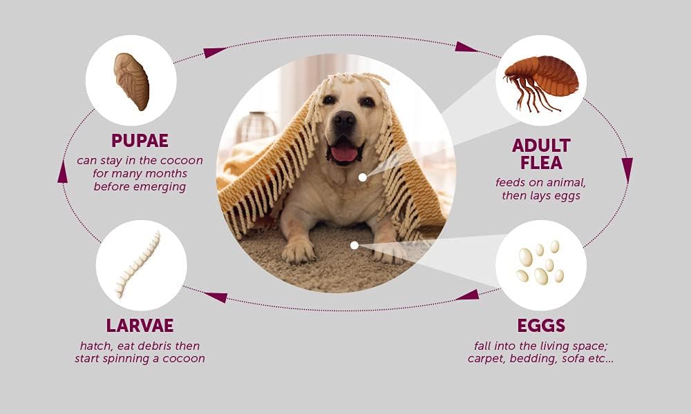 PawfectFriend Flea & Tick Deterrent Collar for Dogs – with Geraniol, Long-Lasting Wear 