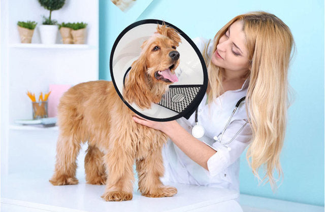 PawfectFriend Adjustable Recovery Cone Collar for Dogs & Cats – Soft, Protective, and Comfortable – Prevents Licking & Scratching 