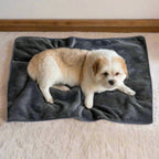 PawfectFriend Waterproof Reversible Dog Blanket Cozy Washable Pet Bed Cover for Home or Travel 