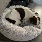 PawfectFriend Plush Donut Pet Bed – Fluffy Cushion for Dogs & Cats 