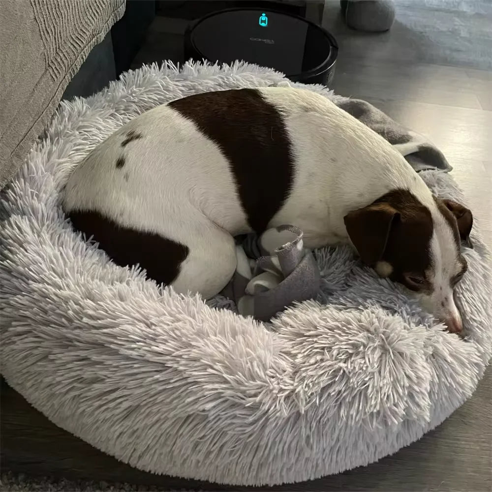 PawfectFriend Plush Donut Pet Bed – Fluffy Cushion for Dogs & Cats 