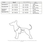 PawfectFriend Reflective Night Dog Harness & Leash Set – Vest Style Durable Nylon No-Pull Harness 