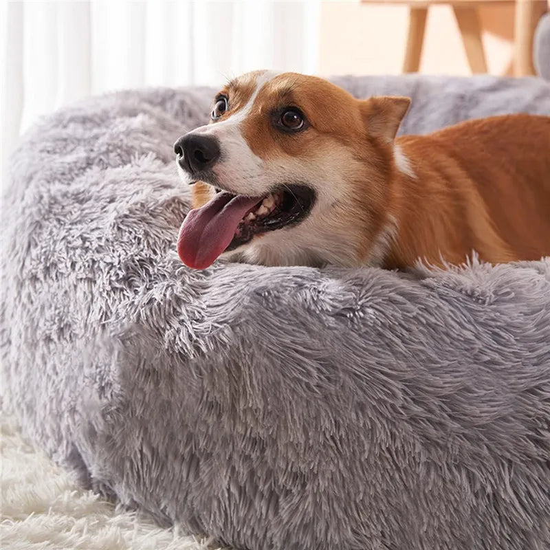 PawfectFriend Plush Donut Pet Bed – Fluffy Cushion for Dogs & Cats 