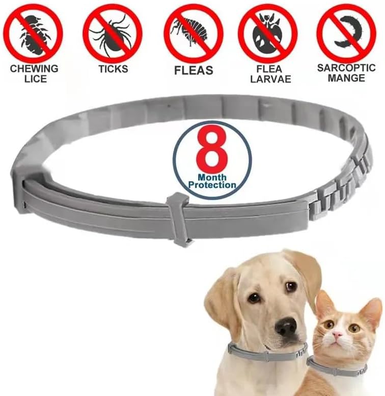 PawfectFriend Long-Lasting Dog Collar – Plant-Based Formula, Adjustable & Waterproof 