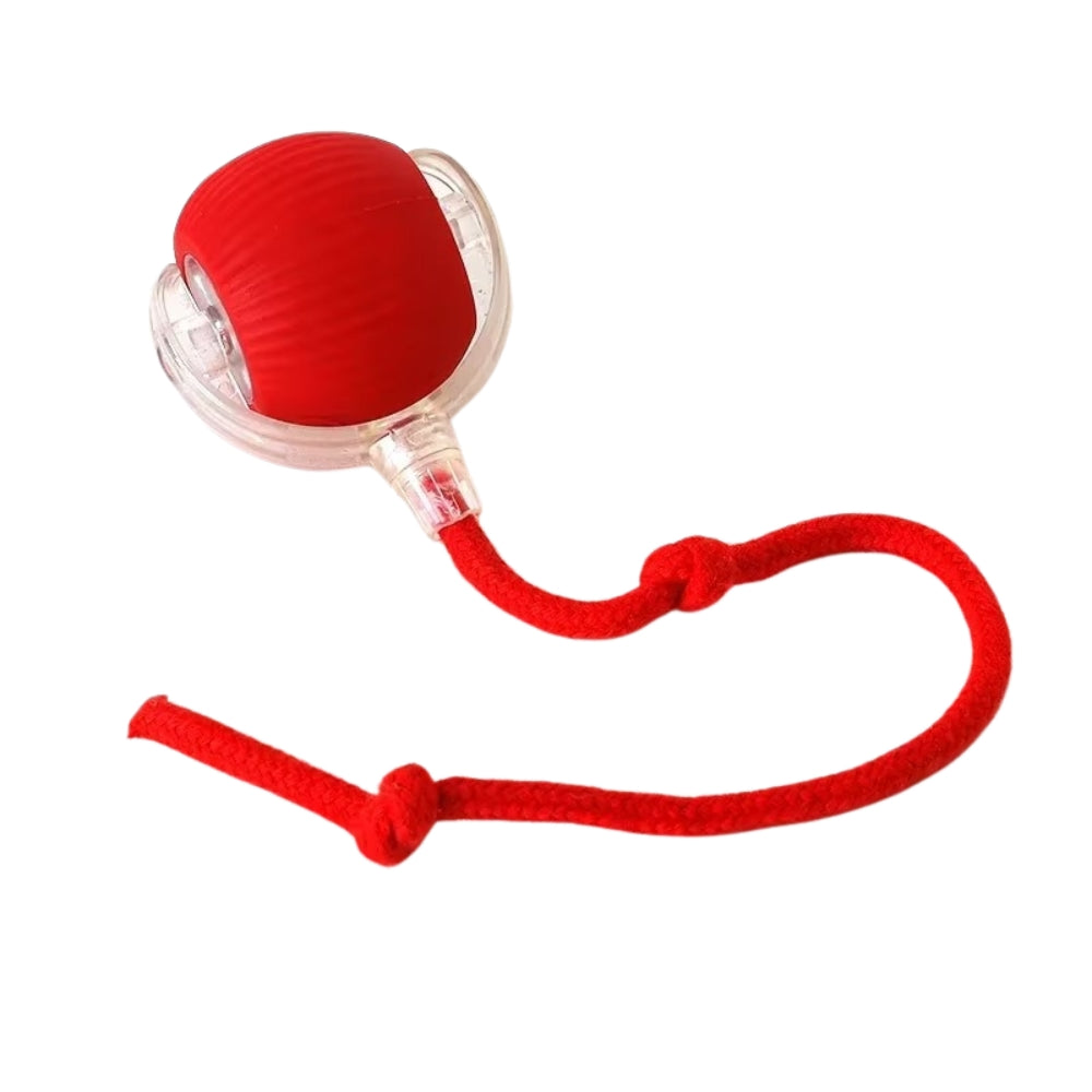 Toy Dog Cat Interactive Rechargeable Rolling Ball with Faux Tail Pawfectfriend