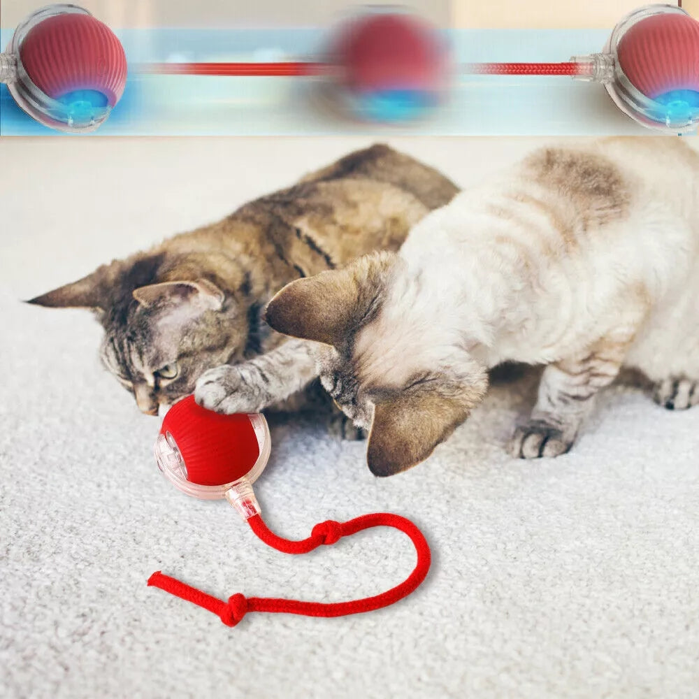 Toy Dog Cat Interactive Rechargeable Rolling Ball with Faux Tail Pawfectfriend
