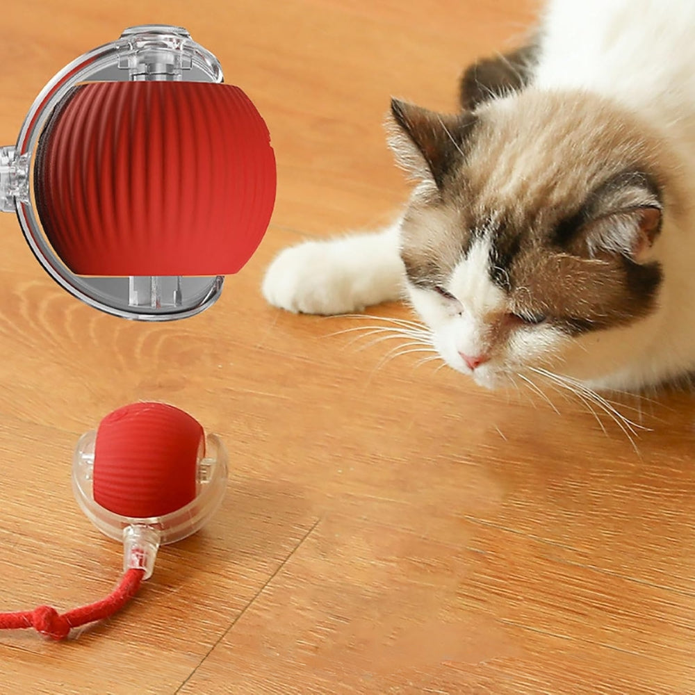 Toy Dog Cat Interactive Rechargeable Rolling Ball with Faux Tail Pawfectfriend
