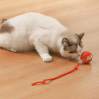 Toy Dog Cat Interactive Rechargeable Rolling Ball with Faux Tail Pawfectfriend
