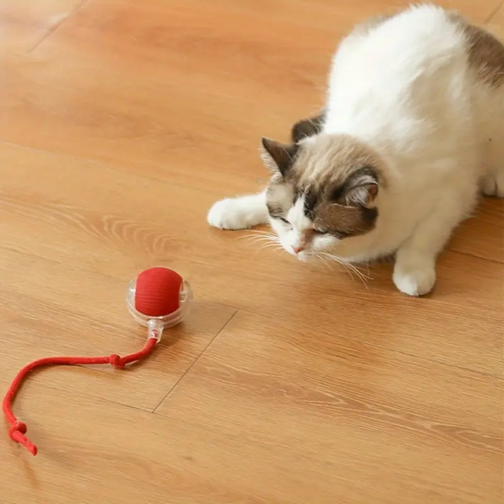 Toy Dog Cat Interactive Rechargeable Rolling Ball with Faux Tail Pawfectfriend