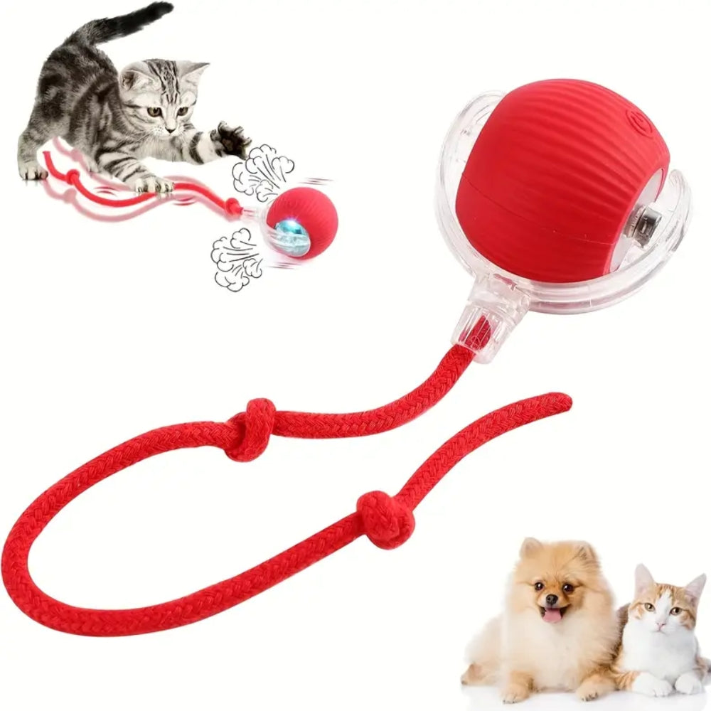 Toy Dog Cat Interactive Rechargeable Rolling Ball with Faux Tail Pawfectfriend
