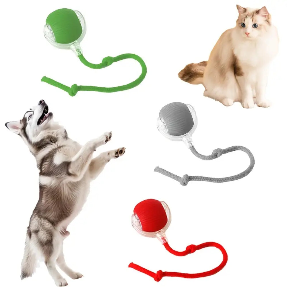 Toy Dog Cat Interactive Rechargeable Rolling Ball with Faux Tail Pawfectfriend