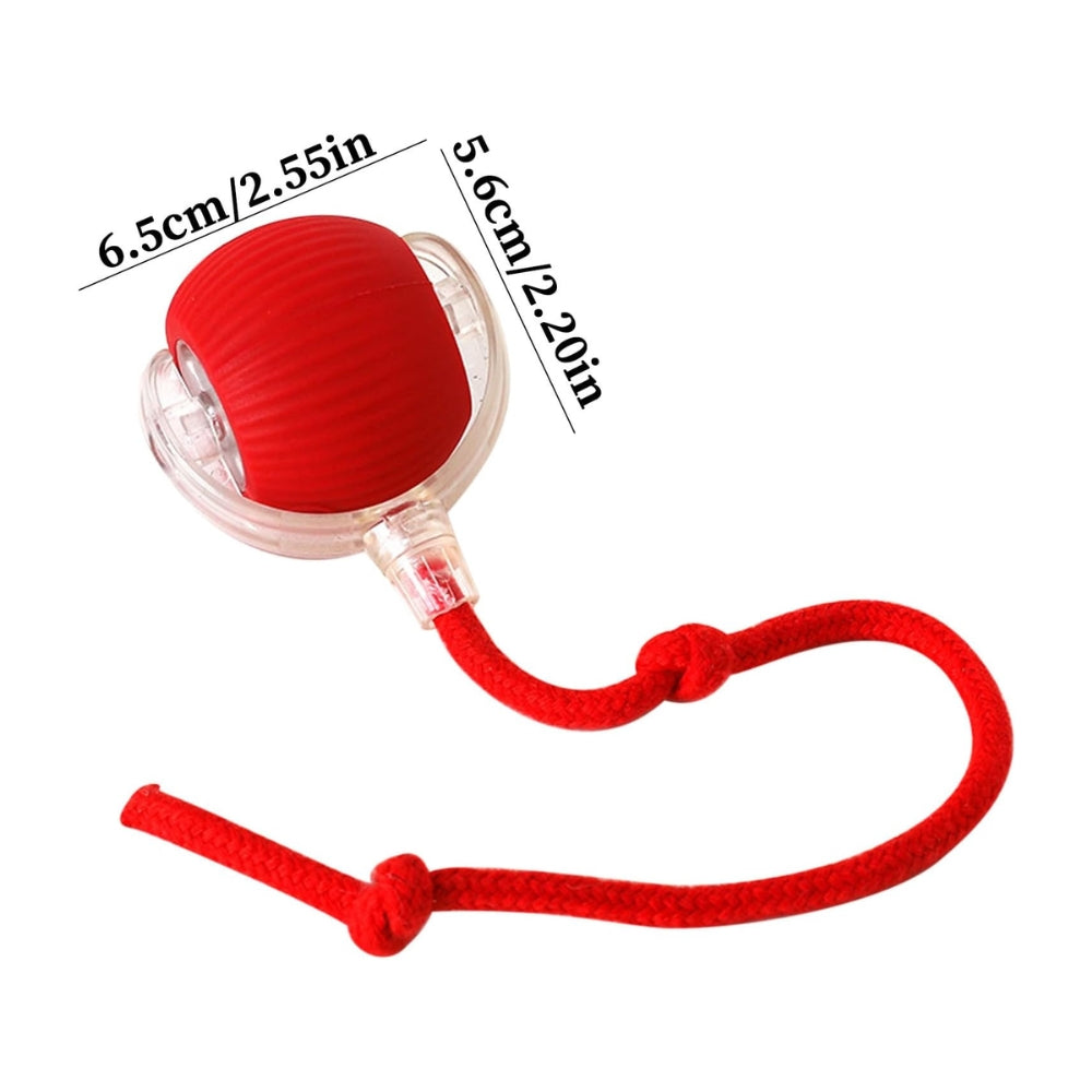 Toy Dog Cat Interactive Rechargeable Rolling Ball with Faux Tail Pawfectfriend