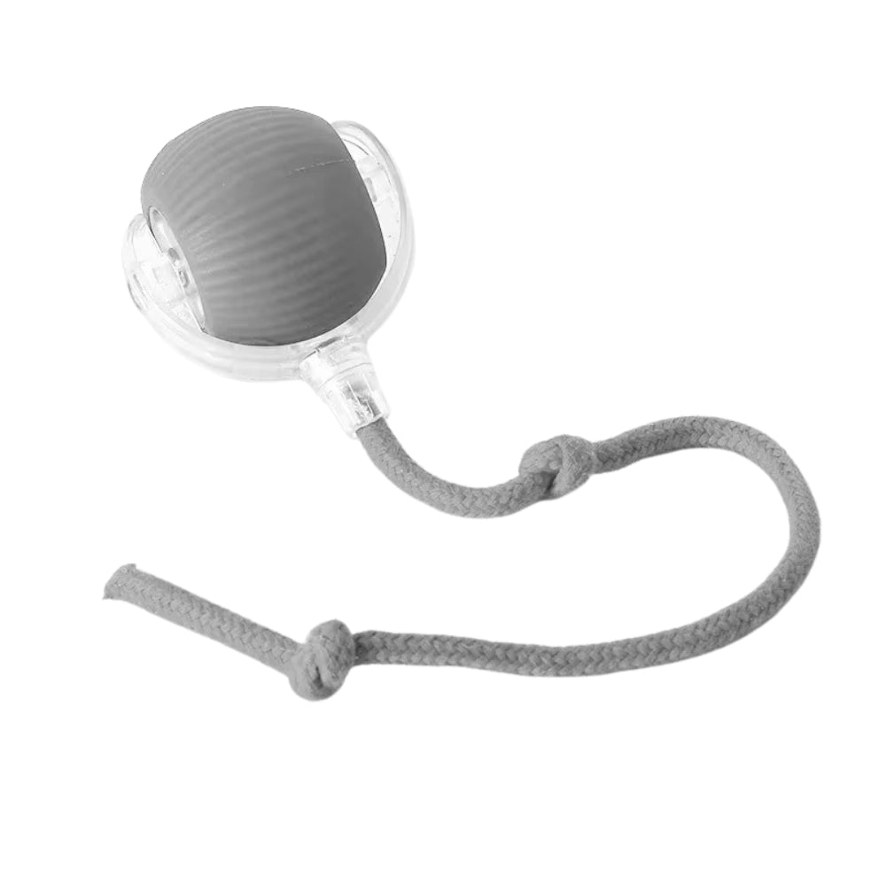 Toy Dog Cat Interactive Rechargeable Rolling Ball with Faux Tail Pawfectfriend