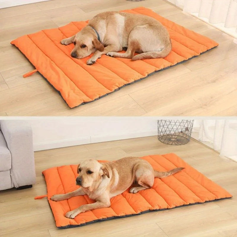 Dog lying on an orange and gray quilted mat in a home setting.