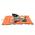 A small black and white dog lies on an orange padded mat, wearing a gray hoodie with a yellow graphic. The photo is taken against a plain white background.