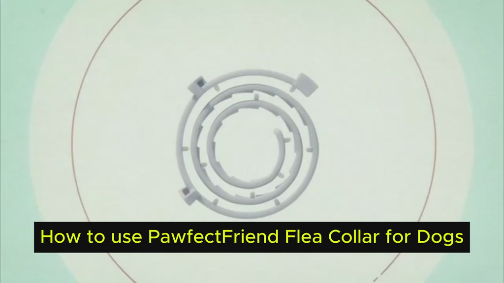 PawfectFriend Long-Lasting Dog Tick Collar – Adjustable & Waterproof