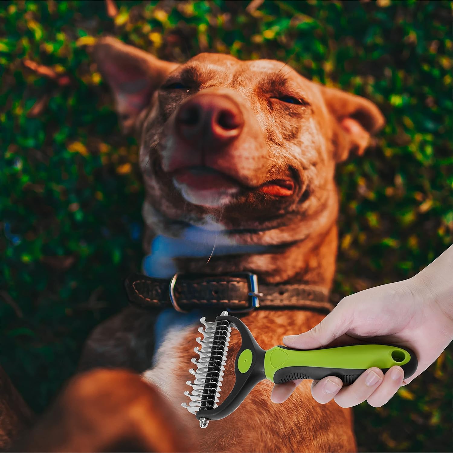 Double-sided Knot Comb Dog Comb Dog Comb Cat Beauty Hair Removal Cat Comb Pet Supplies 