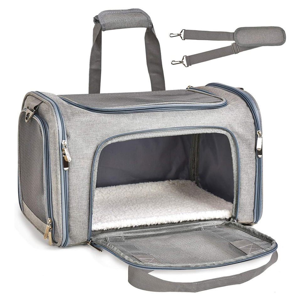 Collapsible cat and small dog carrier with shoulder strap