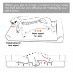 PawfectFriend Cozy Cuddler Bed for Dogs – With Supportive Bolsters & Plush Top 