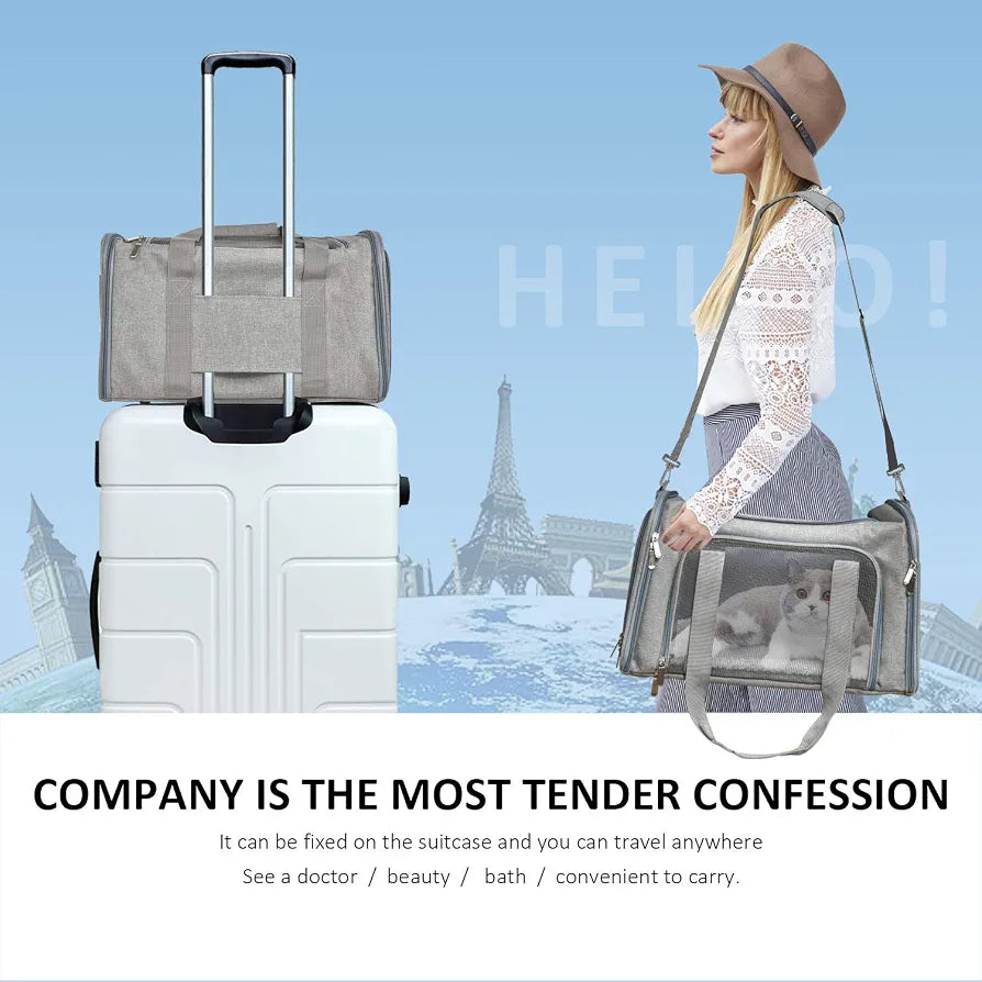 Collapsible cat and small dog carrier - photo 6